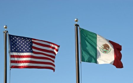 Mexico using 'weaponized immigration' to undermine US sovereignty, author of new book alleges