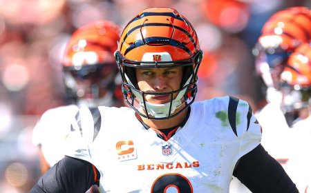 Bengals' Joe Burrow weighs in on controversial NFL playoffs moments: 'It's not the officials'