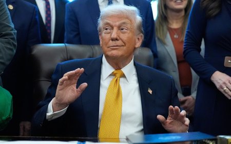 LEE CARTER: Trump's approval ratings reveal what legacy media refuses to see