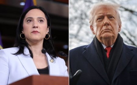 House Democrat calls Trump 'extremely mentally ill' after Greenland remarks, urges 25th Amendment removal