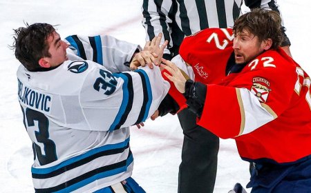 NHL goaltenders get into rare fight during Sharks' win over Panthers