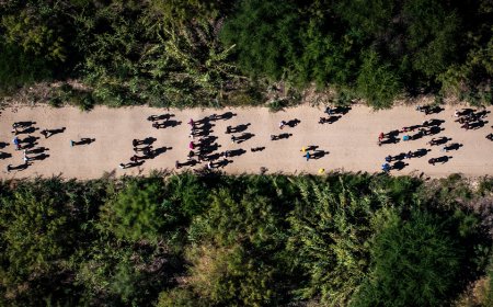 US drug overdose deaths plummet 20% as Trump administration cracks down on southern border