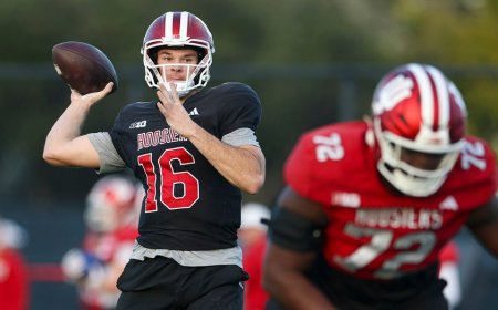 Fernando Mendoza's brother enters transfer portal after Indiana wins national title