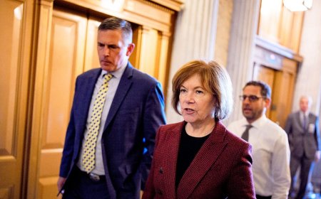 Democrat senator accuses Trump of 'declaring war' on Minnesota with Insurrection Act threat