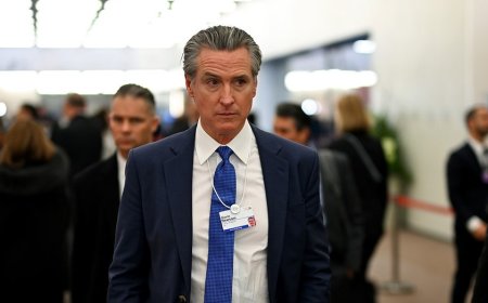 Newsom warns ‘pathetic’ foreign leaders to grow a backbone in bizarre takedown likening Trump to a T.rex