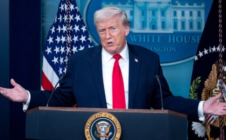 ICE launches new operation in Maine amid Trump's broader illegal immigrant crackdown around the US