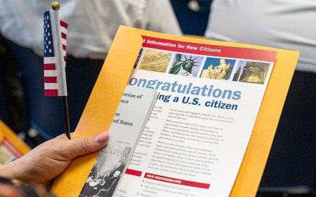 China exploiting 'birth tourism' to gain long-term political influence in US, author warns