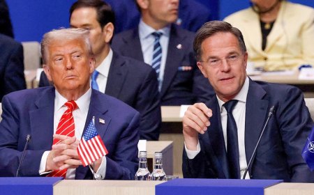 NATO chief praises Trump at Davos, says he forced Europe to ‘step up’ on defense