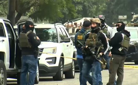 DHS alleges criminal illegal alien 'rammed law enforcement' in California operation, agent fired weapon