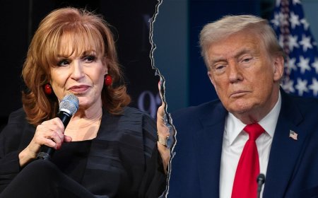 Joy Behar wants her legacy to be getting Trump out of office