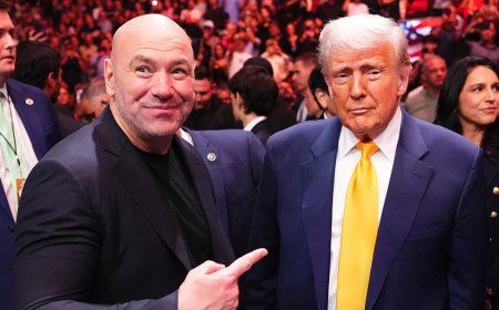 Dana White dismisses notion White House UFC event will be ‘too political’: ‘It’s a history-making event’