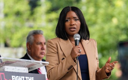 Jasmine Crockett urges consumers to hit Target so their 'numbers go down' after DEI rollback