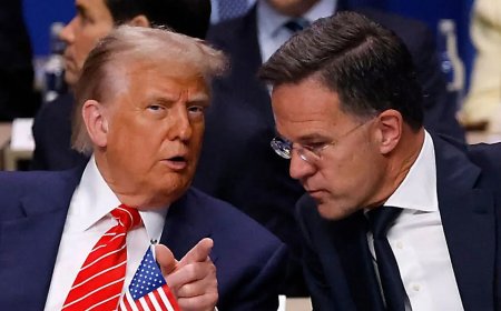 Top NATO official reveals details of stunning meeting with Trump that produced Greenland deal 'framework'