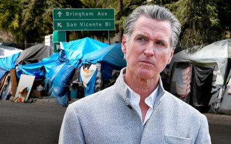 Journalist who exposed alleged Minnesota fraud says Newsom, California are his next targets