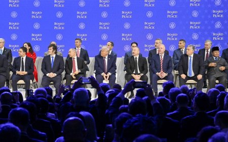 Countries that signed Trump's Gaza Board of Peace charter