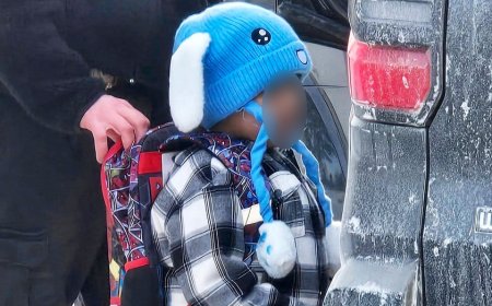 White House, DHS push back on claims ICE targeted 5-year-old in Minnesota, say child was 'abandoned'