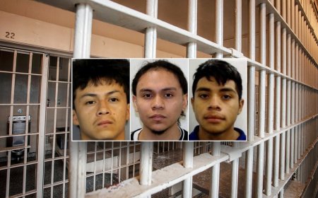 ICE seeking detention of 3 alleged MS-13 members accused of murdering 14-year-old boy