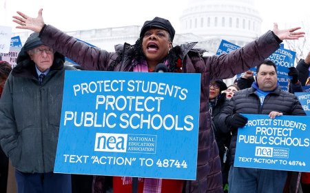 NEA insider blows whistle on 'toxic' culture and far-left politics inside teachers union: 'It's a cult'