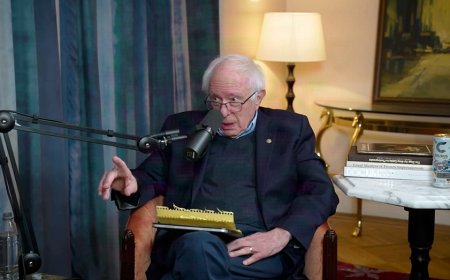 Bernie Sanders agrees fraud in Minnesota should be 'severely punished'