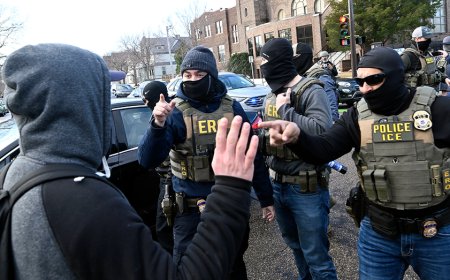 Blocking ICE cooperation fueled Minnesota unrest, officials warn as Virginia reverses course