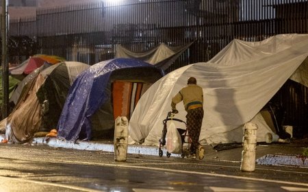 California man arrested for allegedly stealing millions in homeless funds