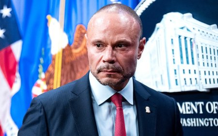 Dan Bongino shreds media 'idiots' for downplaying historic drop in violent crime
