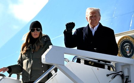 Air Force One glitch revives replacement push as White House says it 'proves Trump was right again'