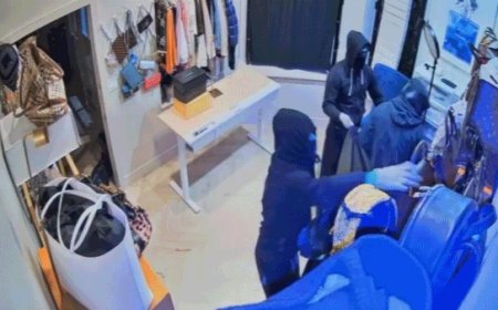 Video shows moment masked California burglars blitz high-end store, escape in luxury SUVs