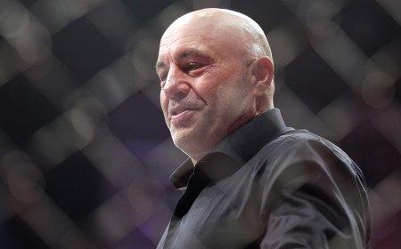 Rogan defends ICE raids, says 'they have to do this' because Dems let in millions of migrants, many criminals