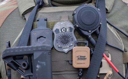 Brazilian man pleads guilty after biting, spitting on ICE officers in Hartford arrest: prosecutors