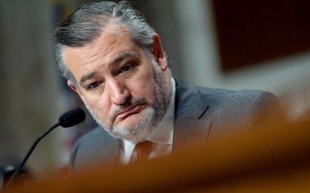 Cruz back in Texas after photo of him boarding plane sparks backlash ahead of winter storm