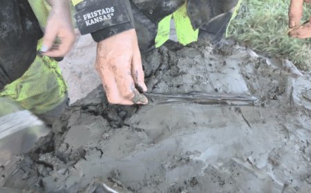 'Well-preserved' 5,000-year-old dog buried with bone dagger unearthed in ancient bog