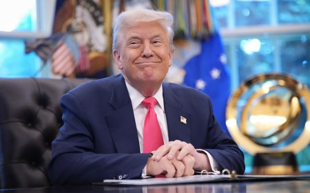 DAVID MARCUS: From borders to bombs, 5 times Trump defied experts in Year 1