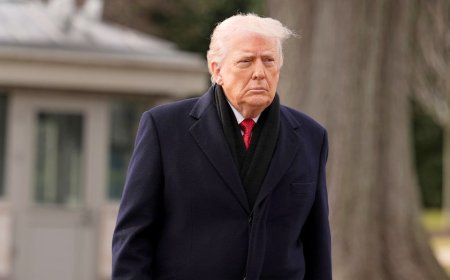 Trump takes aim at Senate 'blue slip' tradition as GOP resists change