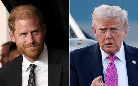 Prince Harry fires back at Trump over NATO criticism: 'I lost friends' in Afghanistan