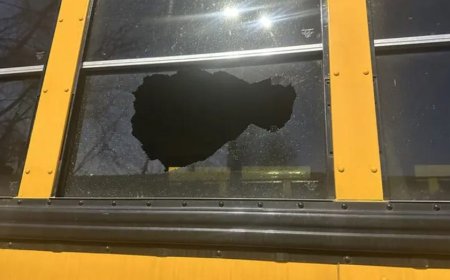DHS says illegal immigrant accused of throwing rock at New Jersey school bus, injuring young girl