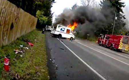 Deputy saves mail driver from burning truck in Washington: bodycam