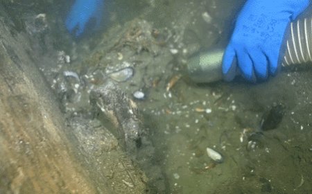 World's largest medieval cargo ship emerges from its underwater grave off one country's coast