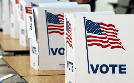 LEE CARTER: 45% of Americans calling themselves 'independent' aren't independent at all – they're just angry