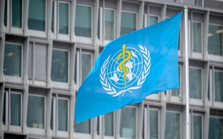 World Health Organization says US withdrawal makes the nation and the world 'less safe'