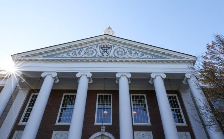 Harvard gets schooled by China as America's universities choose activism over excellence