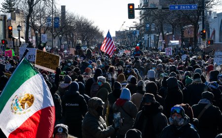 DHS says illegal immigrant sought amid Pretti shooting had violent domestic history