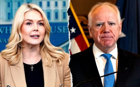 Leavitt says Trump spoke to Walz, demands Minnesota 'work together peacefully' with ICE: 'Let cops be cops'