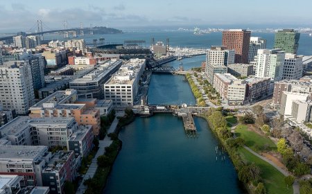 Luxury blue-city landlords accused of looking the other way as high-end buildings turn into crime hubs