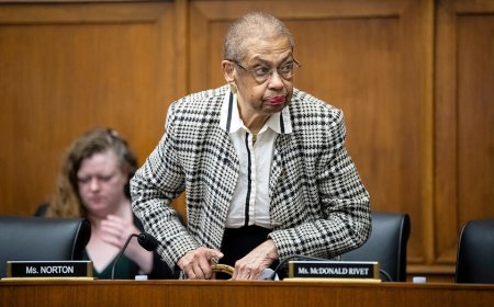 88-year-old Democrat DC Delegate Eleanor Holmes Norton ends re-election campaign