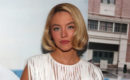 Sydney Sweeney sparks backlash after scaling Hollywood sign for after-dark photo shoot