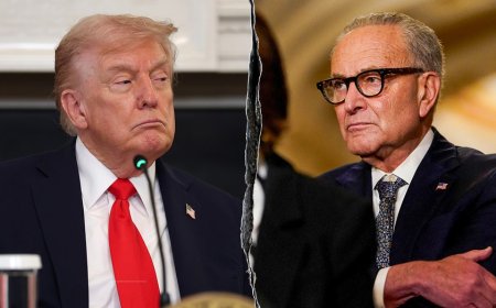 White House not budging on Democrats' demands as DHS funding mutiny threatens government shutdown