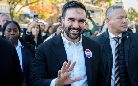 LIZ PEEK: Here is the one and only thing that Democrats actually care about