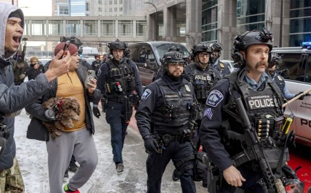 'Mob mentality' endangers officers amid anti-ICE unrest and chaos in Minneapolis, retired cops warn
