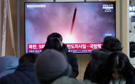 North Korea launches short-range ballistic missiles into sea, show of force ahead of political meetings